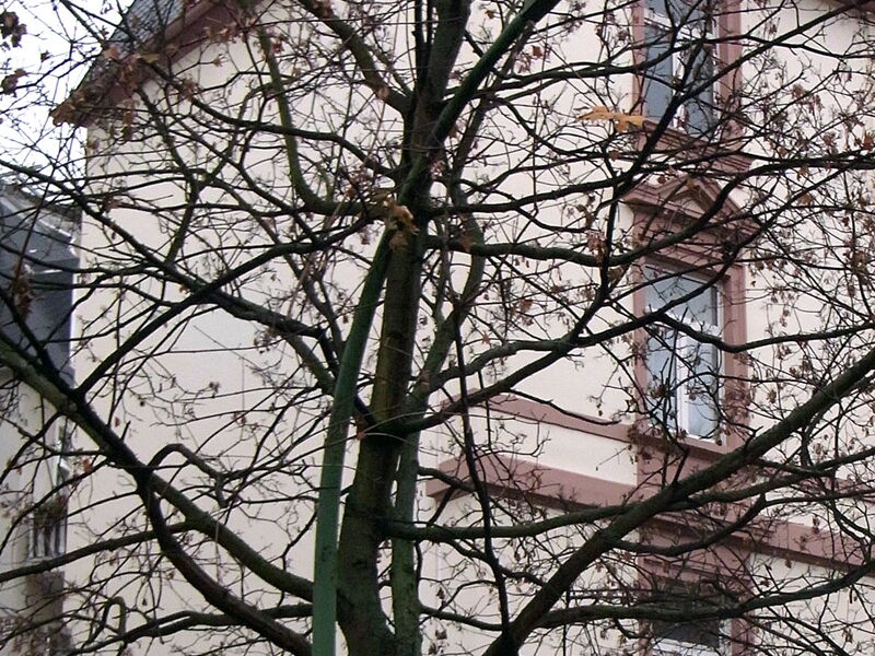 Frankfurt - Martin Luther Str. 20